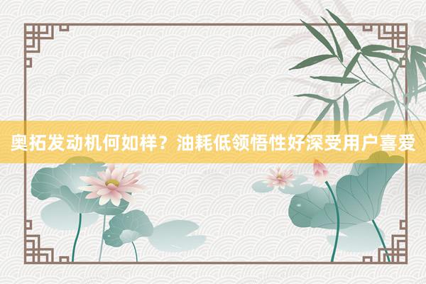 奥拓发动机何如样？油耗低领悟性好深受用户喜爱